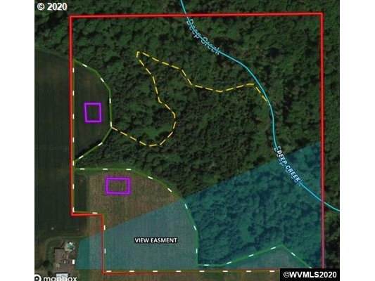 22500 Howlett (Next To) Rd - Photo 1