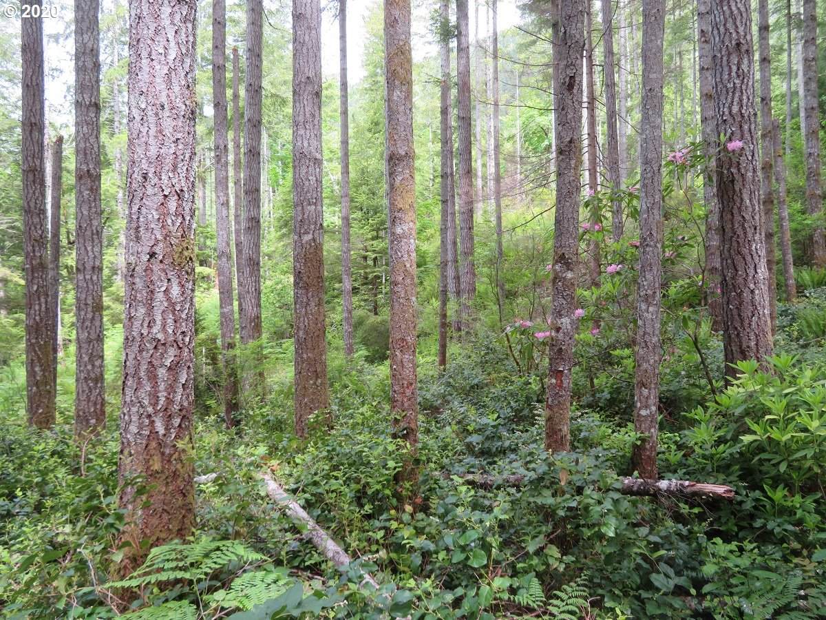 Duckabush Rd - Photo 1