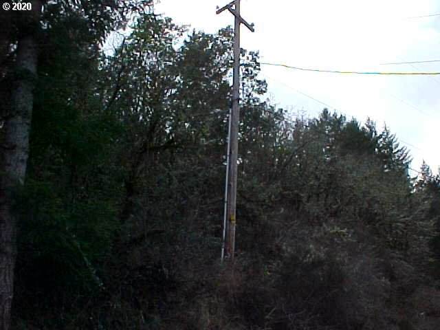 0 South Side Rd - Photo 1