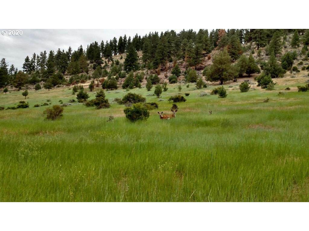 0 Buckhorn Estates - Photo 1