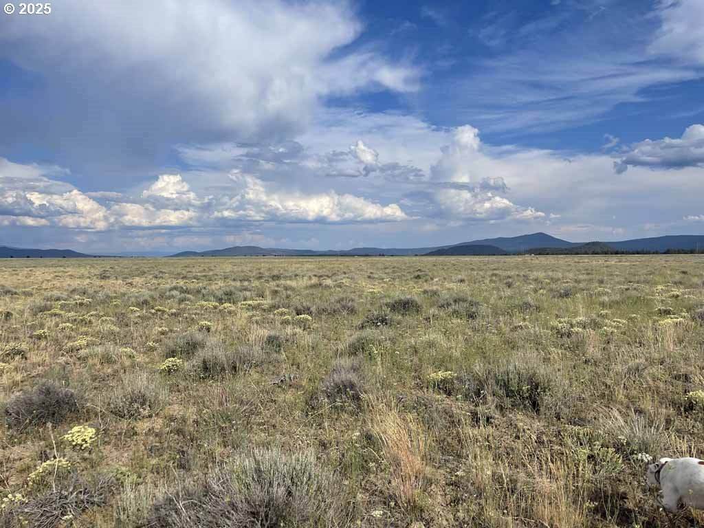  Tableland Road - Photo 1