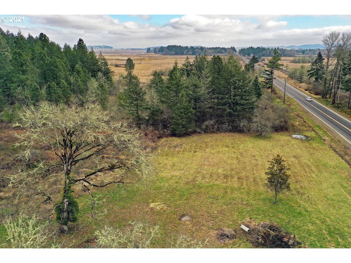 25987 Hwy 126 - Photo 1