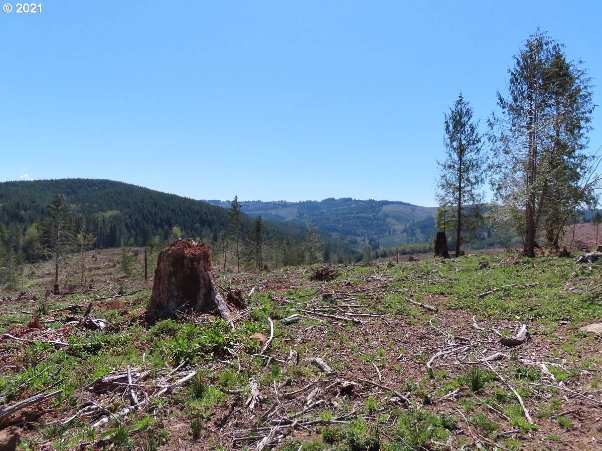 Stewart Spur Rd - Photo 1