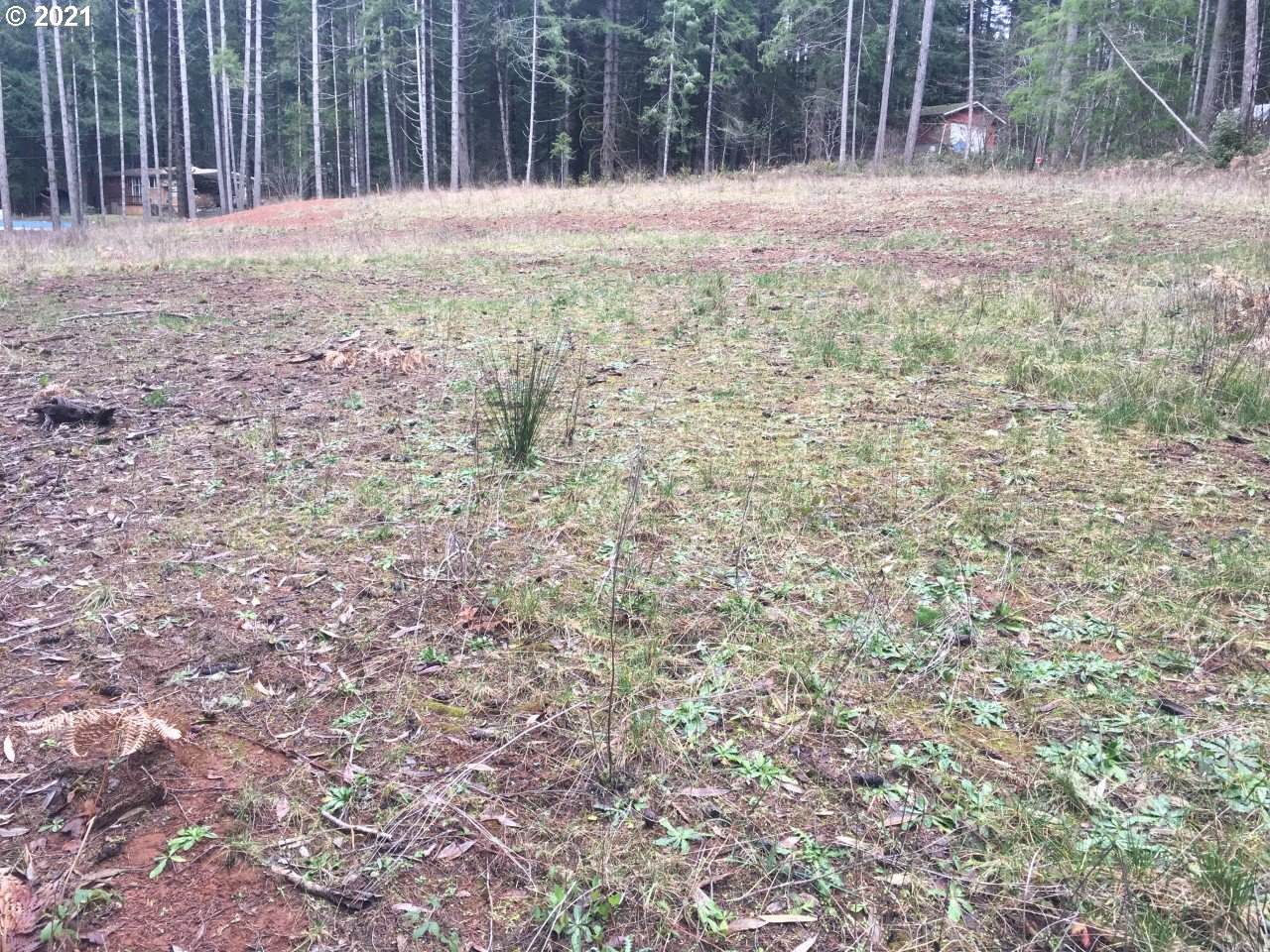 1 Fisk Rd - Photo 1