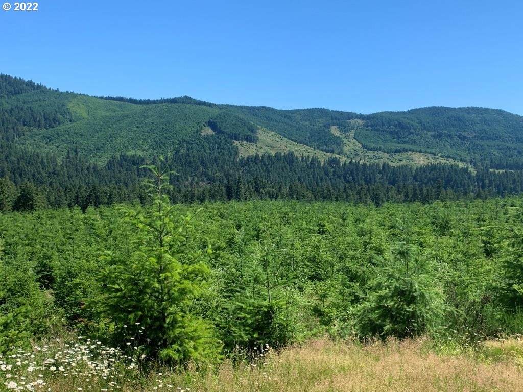 Mp4.7 Big Fall Creek Rd - Photo 1