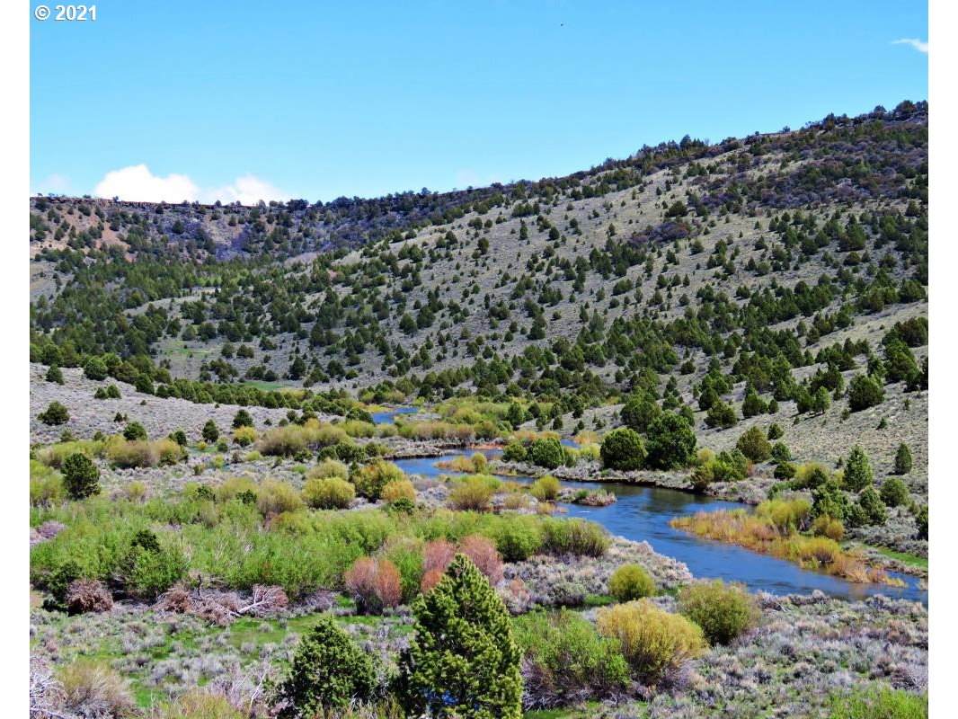 Deep Creek - Photo 1