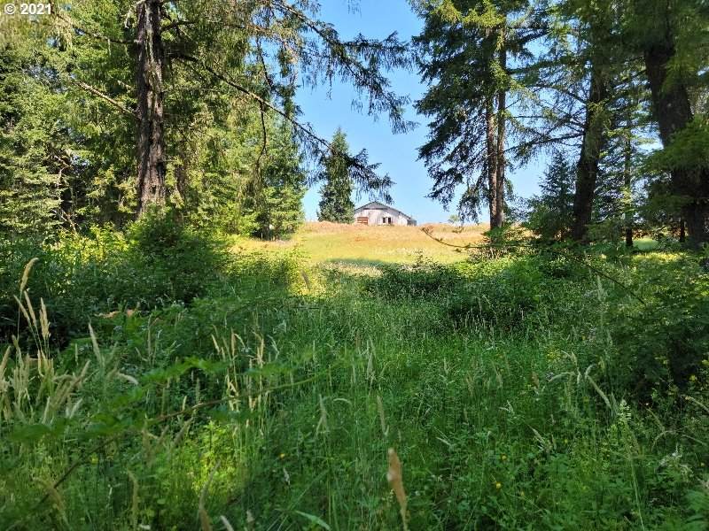 49390 Mountain View Rd - Photo 1