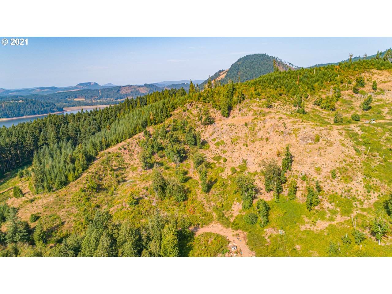 78312 Rat Creek Rd Next To - Photo 1