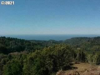 Carpenterville Rd - Photo 1