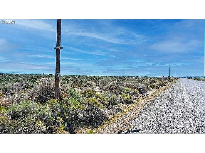 Lost Forest Ln - Photo 1