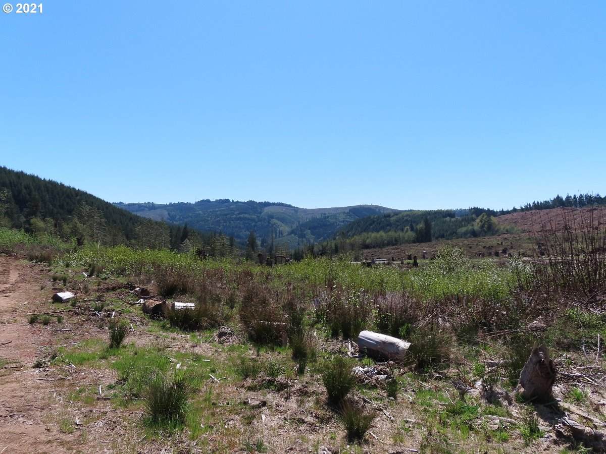 Stewart Dr - Photo 1