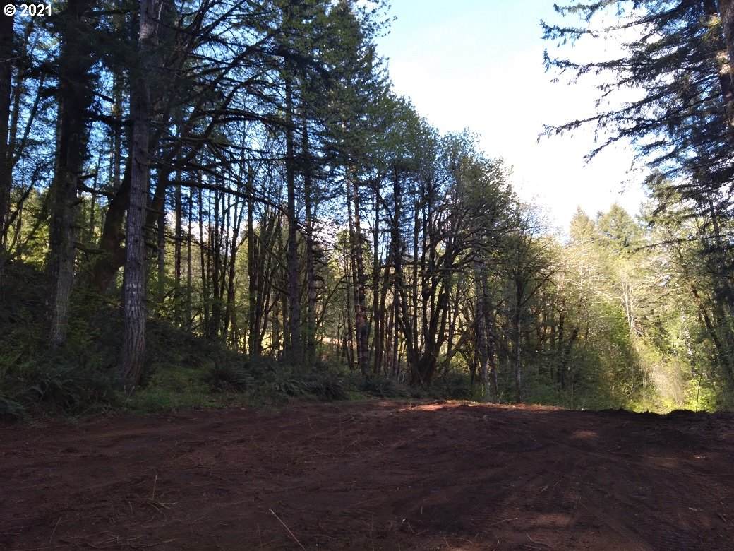 Wilson River Hwy - Photo 1