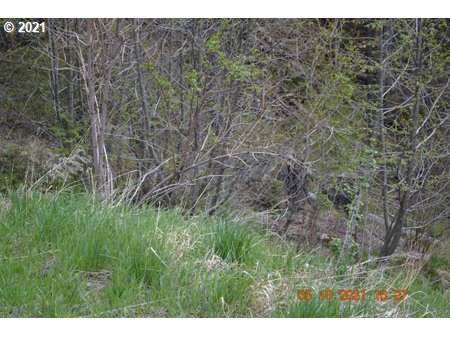 60751 Ferguson Ln - Photo 1