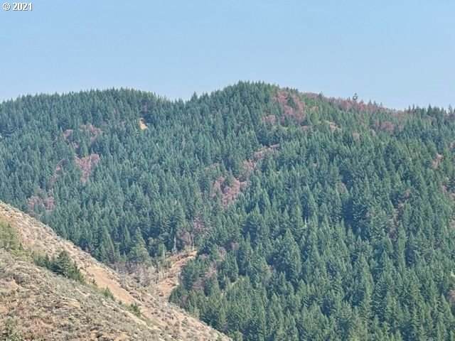 0 Mcnabb Creek Rd - Photo 1