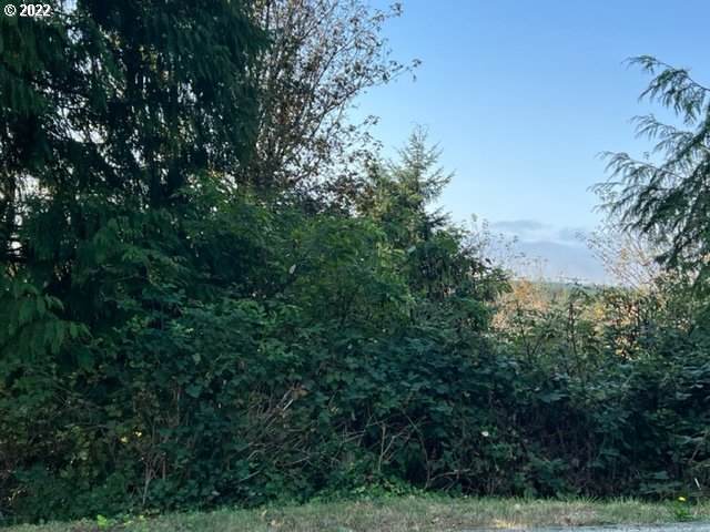 Ocean View Dr - Photo 1