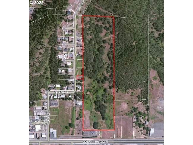 0 North Umpqua Hwy - Photo 1