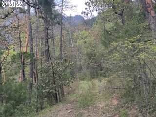 Shanks Creek Rd - Photo 1