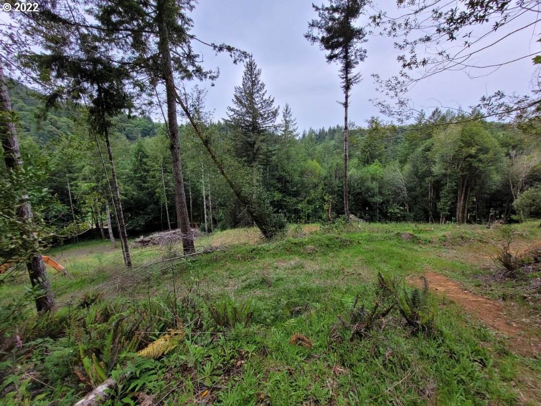 0 Coos River Hwy - Photo 1