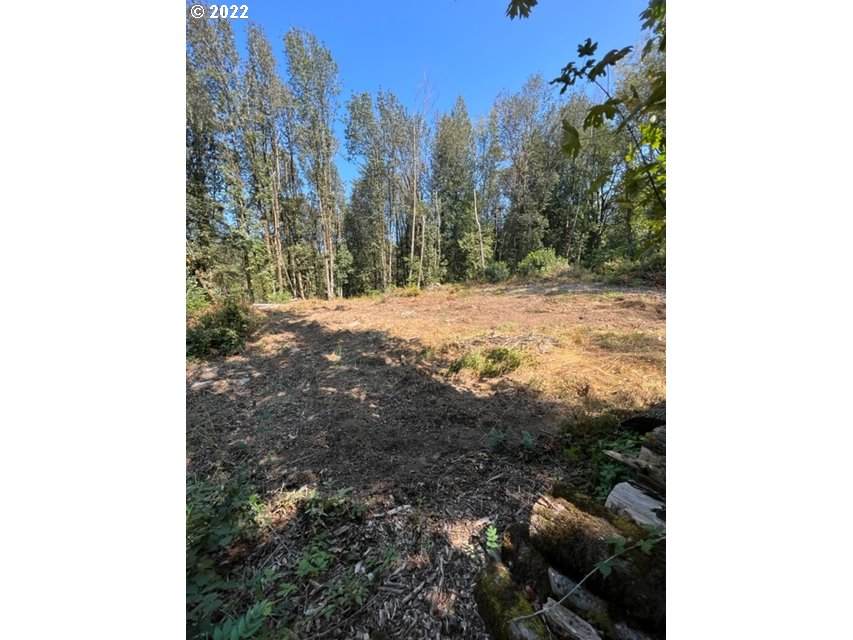9631 Skyline Blvd - Photo 1