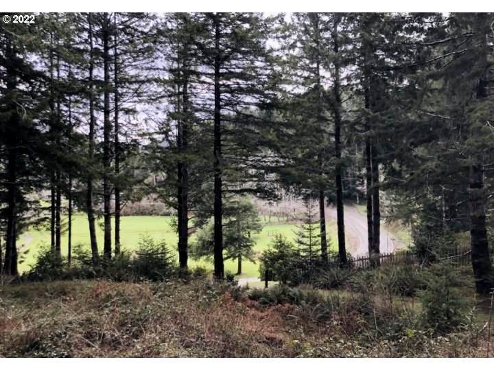 Cedar Valley Rd - Photo 1