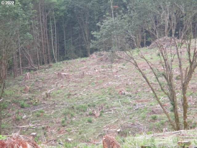 0 Smith Rd - Photo 1