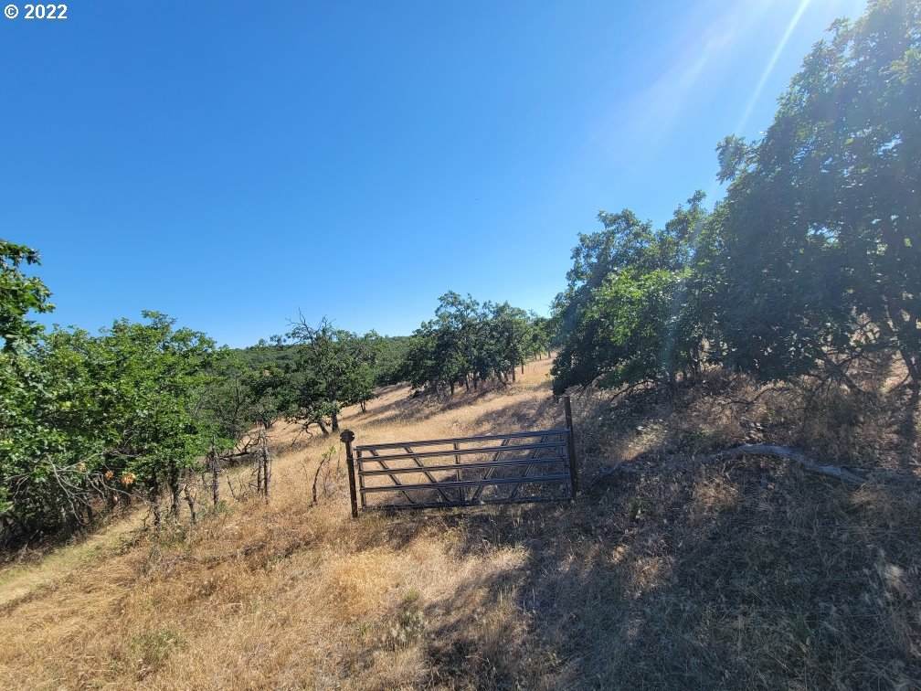 Unknown - Photo 1