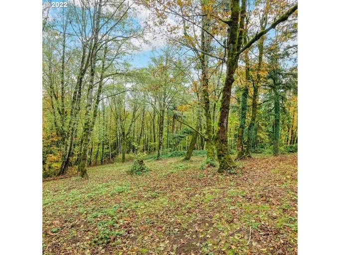30900 Springhill Rd - Photo 1
