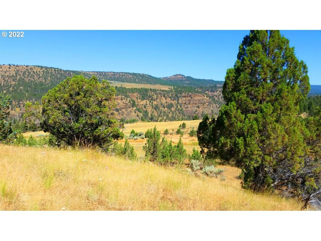42834 Alder Creek Rd - Photo 1
