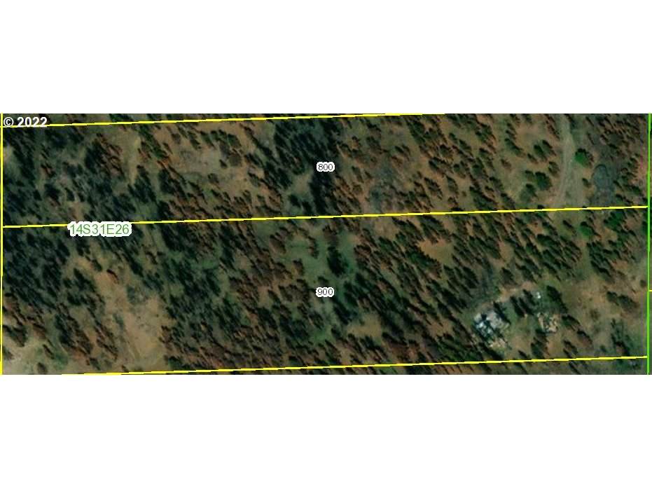 24403 Cougar Crossing Rd - Photo 1