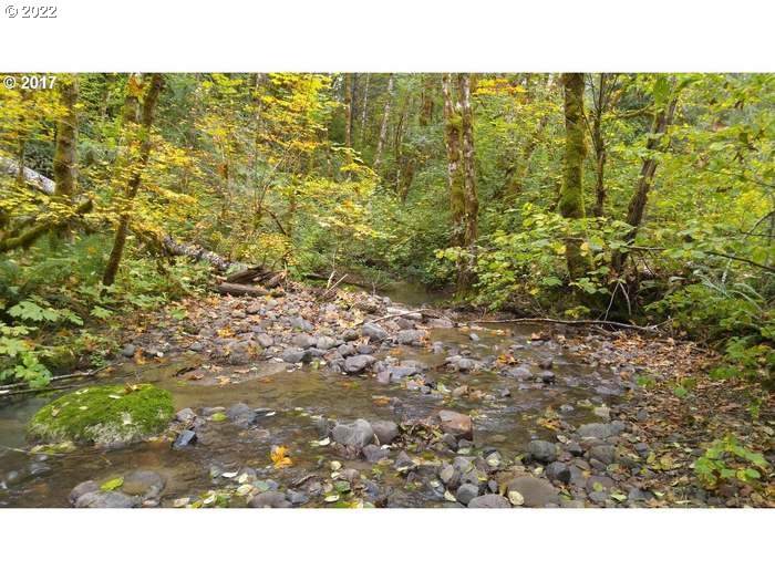 0 Honey Creek Rd - Photo 1