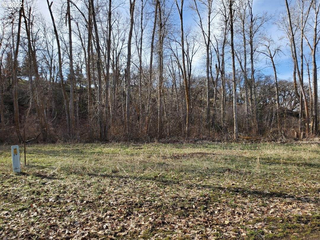 57744 Alder Ave - Photo 1