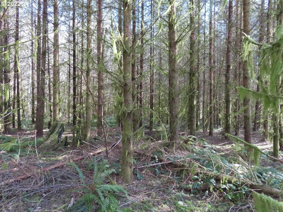 Fork Rd - Photo 1
