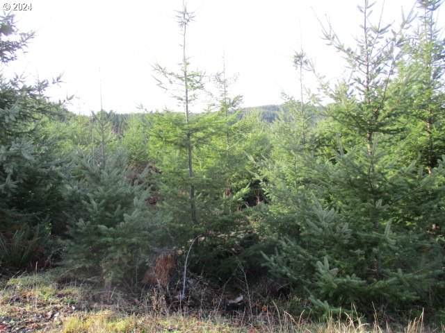 000 Enterprise Rd - Photo 1