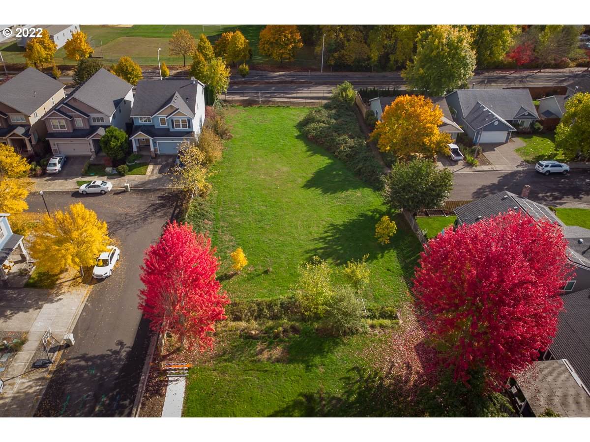  Waterleaf - Photo 1