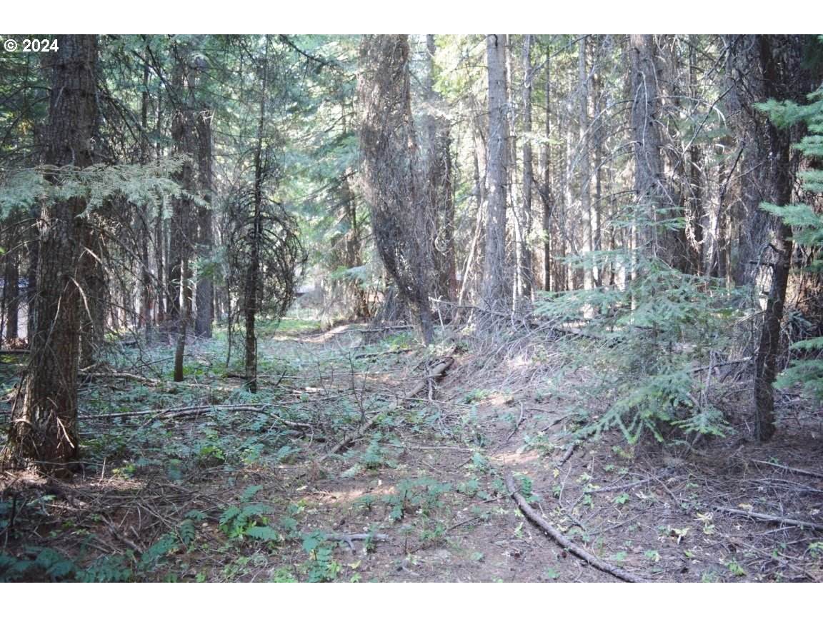 58531 Highway 204 - Photo 1