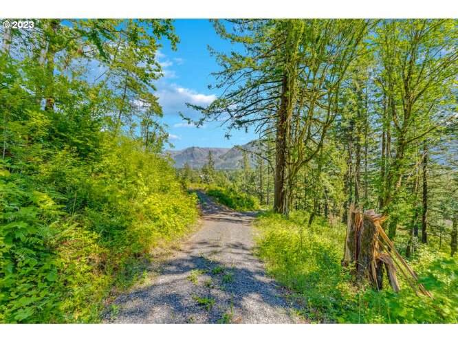 0 Warren Rd - Photo 1