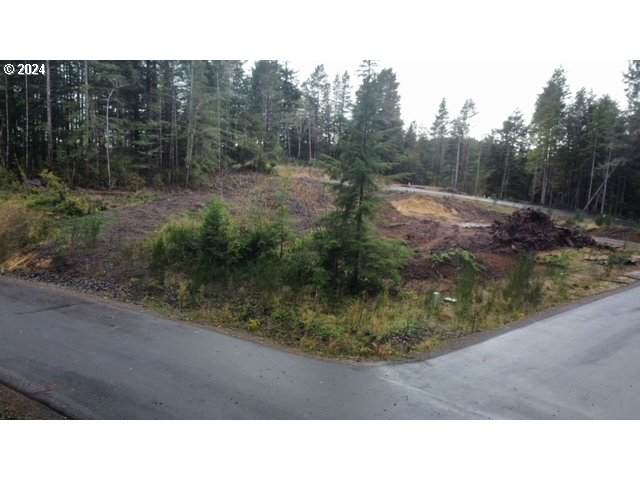 5700 Little Woahink Dr - Photo 1