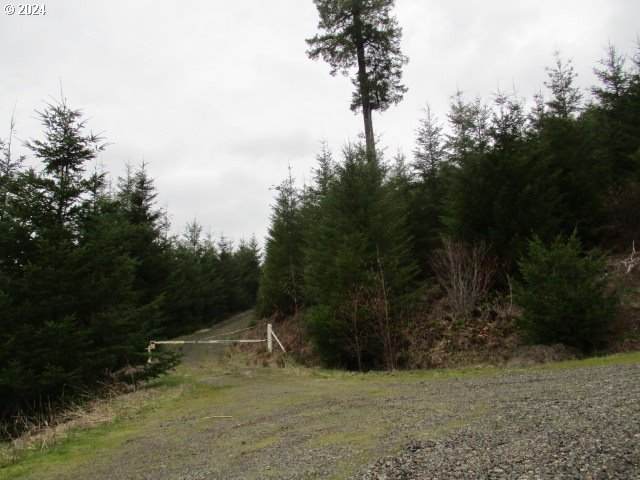 000 Rocky Top Rd - Photo 1