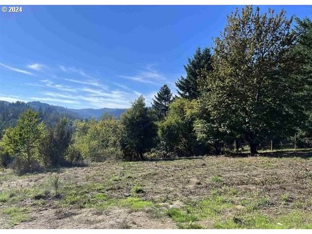 54839 South Rd - Photo 1