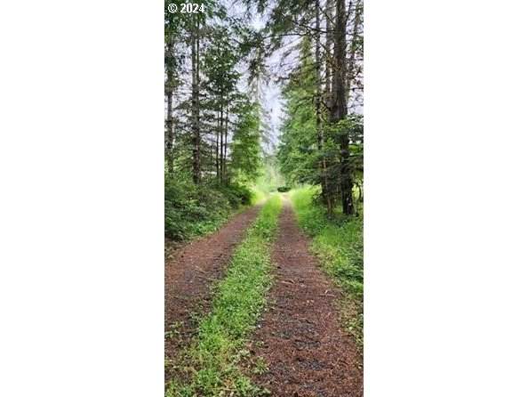 24099 Hall Rd - Photo 1