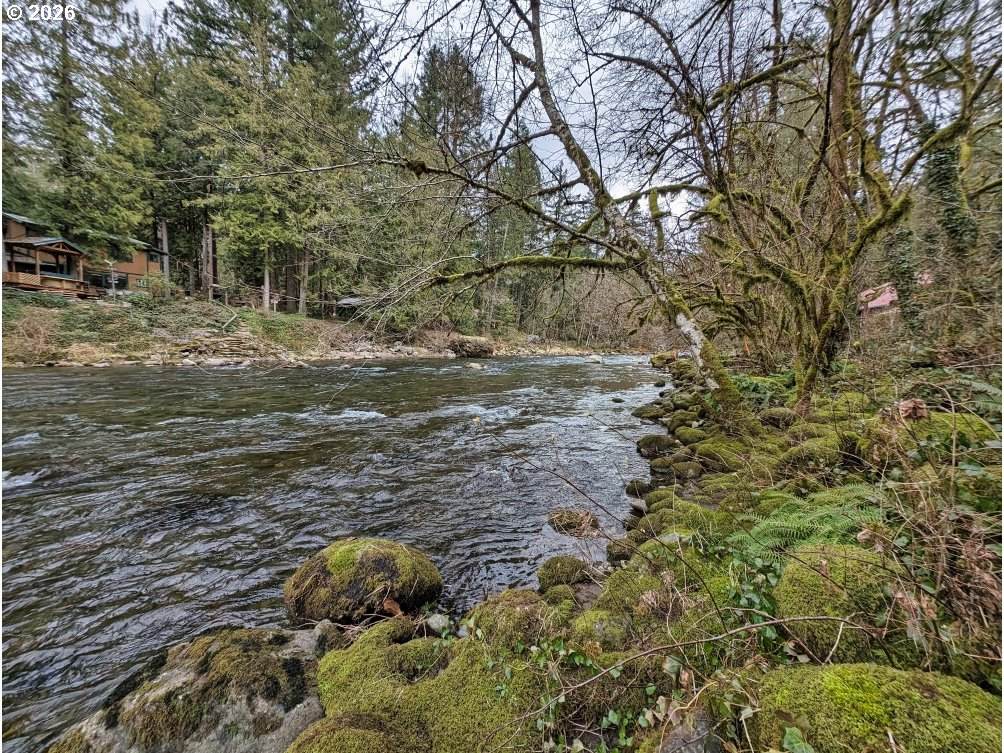 https://bt-photos.global.ssl.fastly.net/portland/orig_boomver_1_249846038-2.jpg