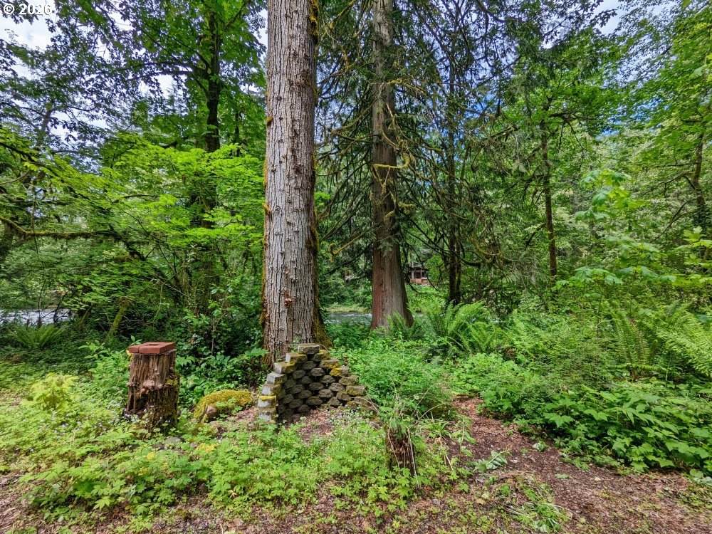 https://bt-photos.global.ssl.fastly.net/portland/orig_boomver_1_249846038-2.jpg