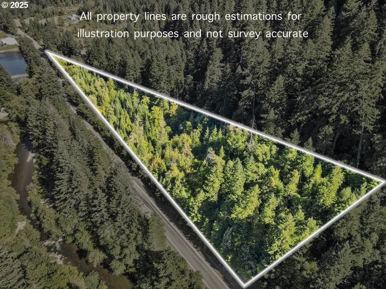  Mount Reuben Rd - Photo 1