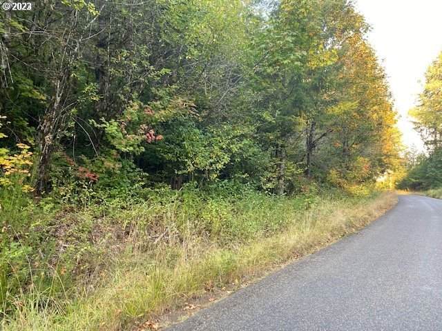  Mcgowan Creek - Photo 1
