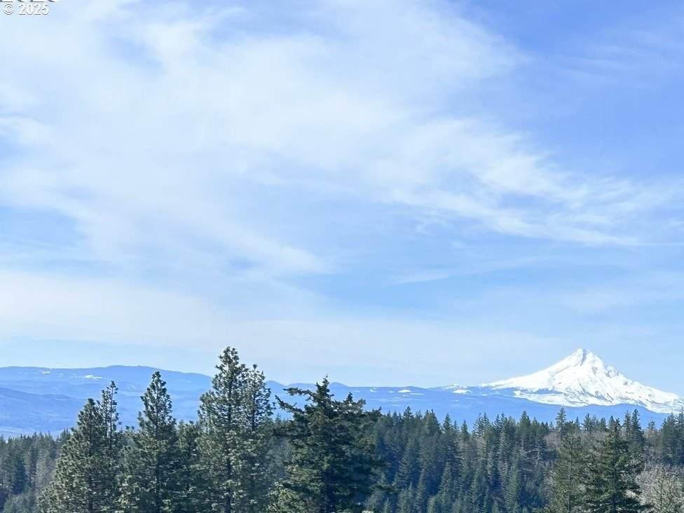 https://bt-photos.global.ssl.fastly.net/portland/orig_boomver_1_277583087-2.jpg