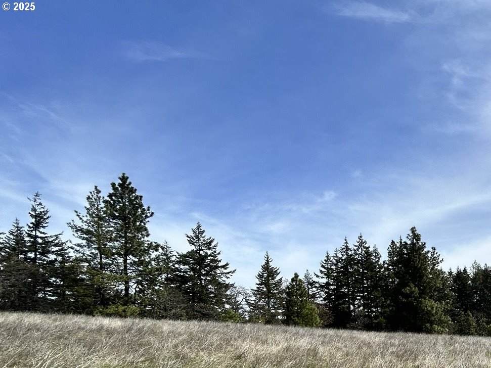 https://bt-photos.global.ssl.fastly.net/portland/orig_boomver_1_277583087-2.jpg