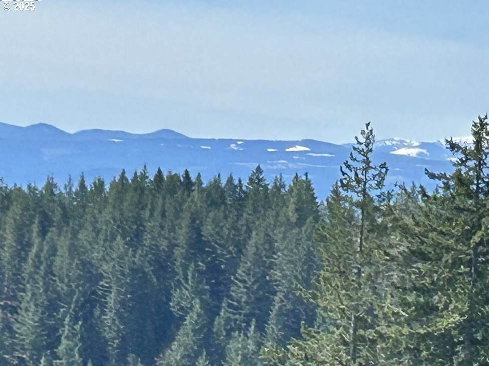 https://bt-photos.global.ssl.fastly.net/portland/orig_boomver_1_277583087-2.jpg