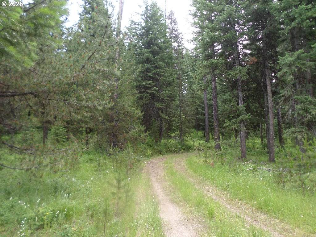 0 Akers Butte Rd - Photo 1