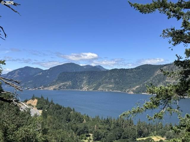https://bt-photos.global.ssl.fastly.net/portland/orig_boomver_1_298406410-2.jpg