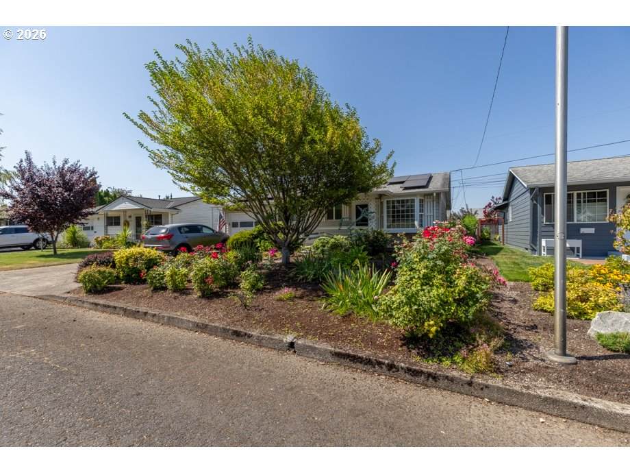 https://bt-photos.global.ssl.fastly.net/portland/orig_boomver_1_312579467-2.jpg